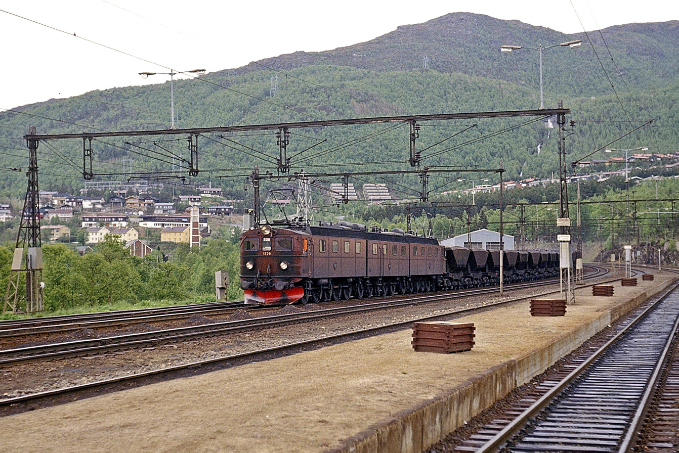 Dm3 1229