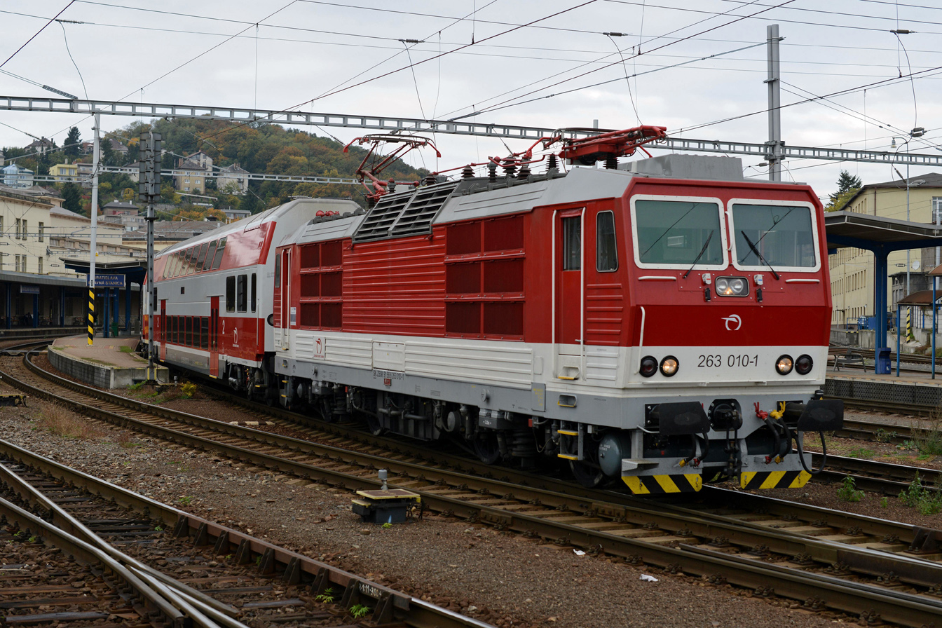 263 010-1