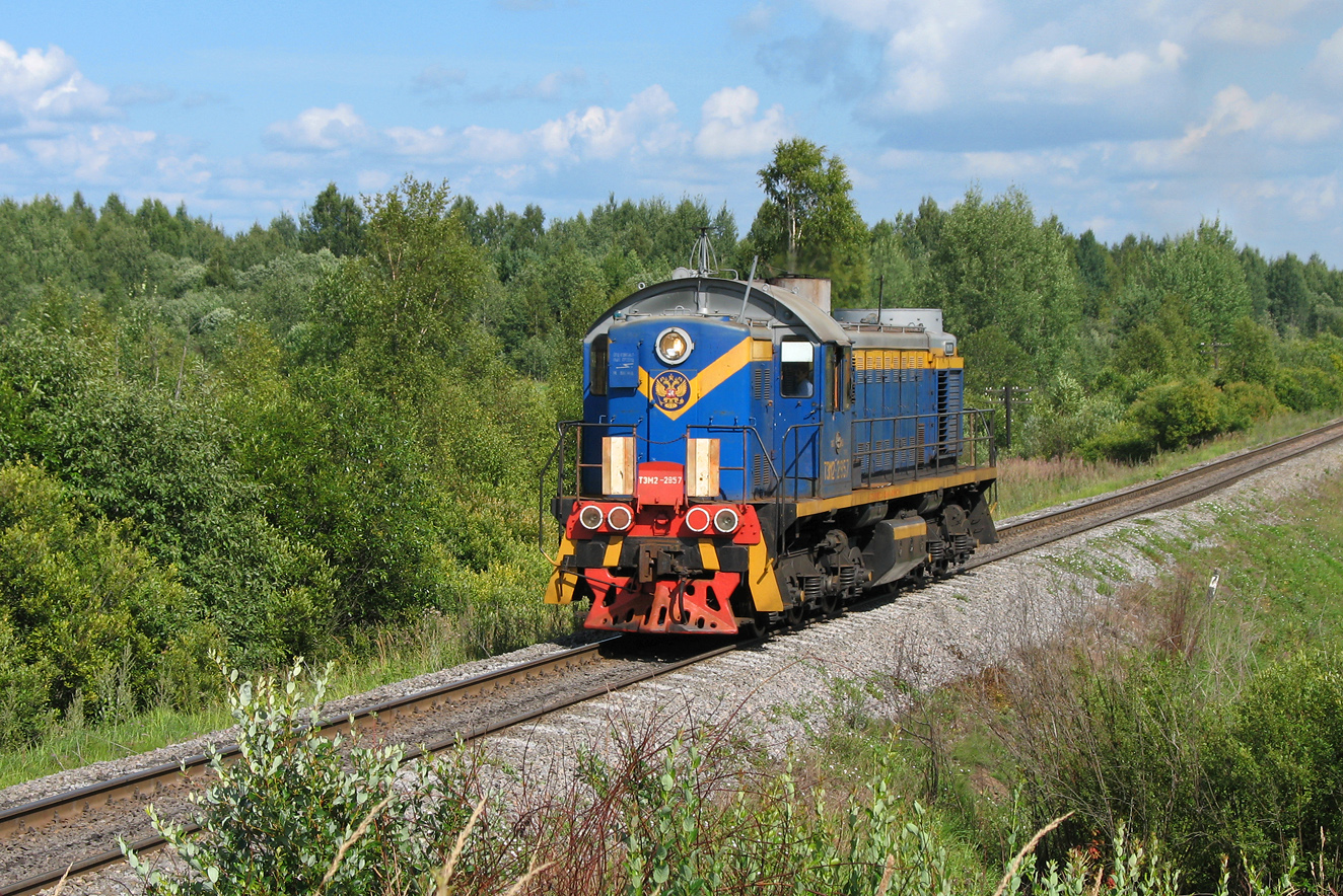 ТЭМ2-2957