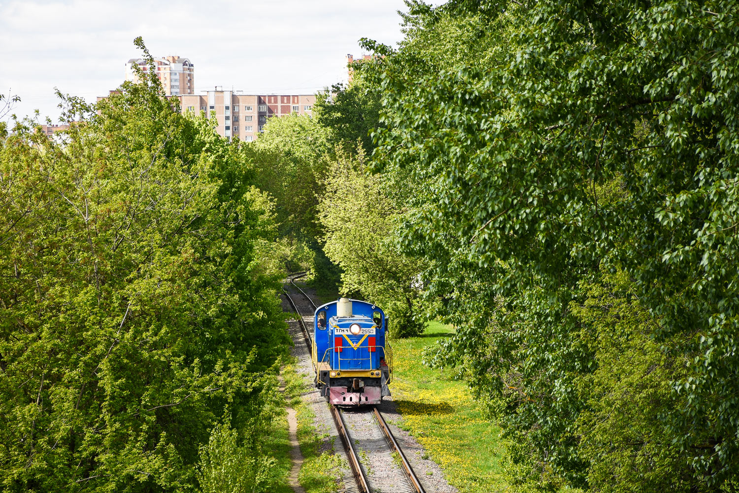 ТГМ4-2550