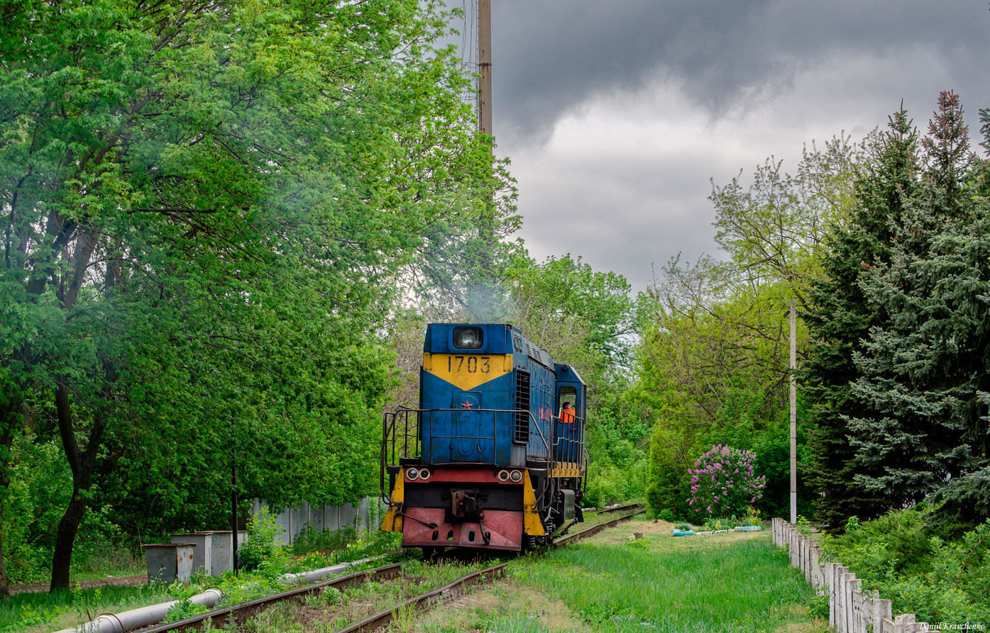 ТГМ6А-1703