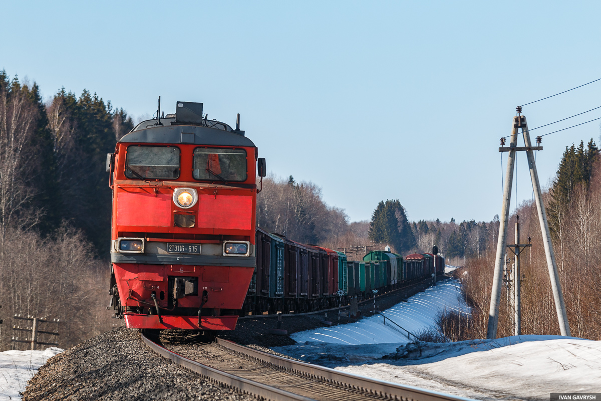 2ТЭ116-615