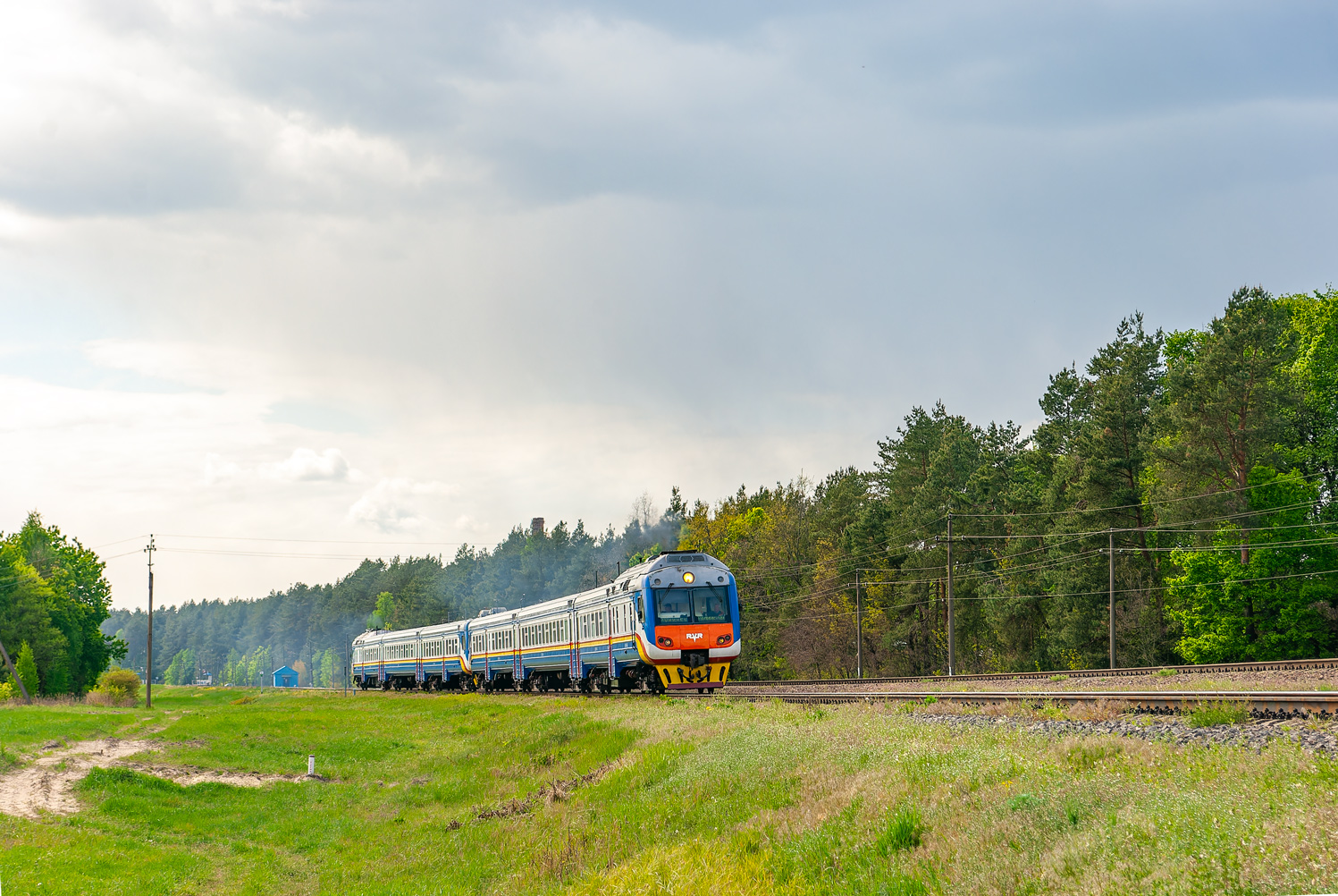 ДР1Б-509