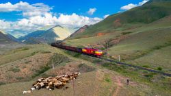 ТЭ33А-0179 (Kyrgyz Railways)