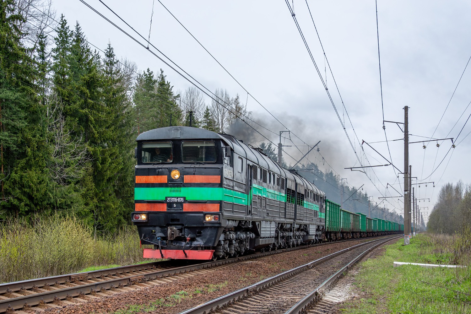 2ТЭ116-876