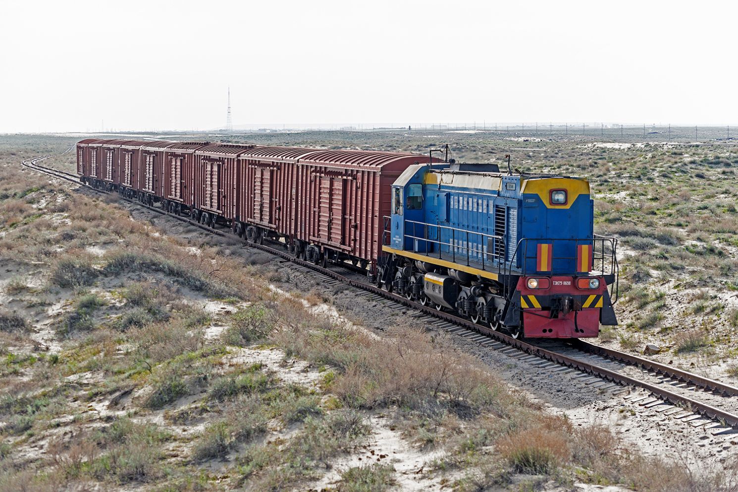 ТЭМ2У-8698