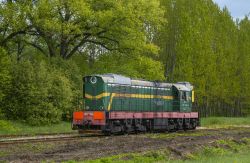 919 КБ
