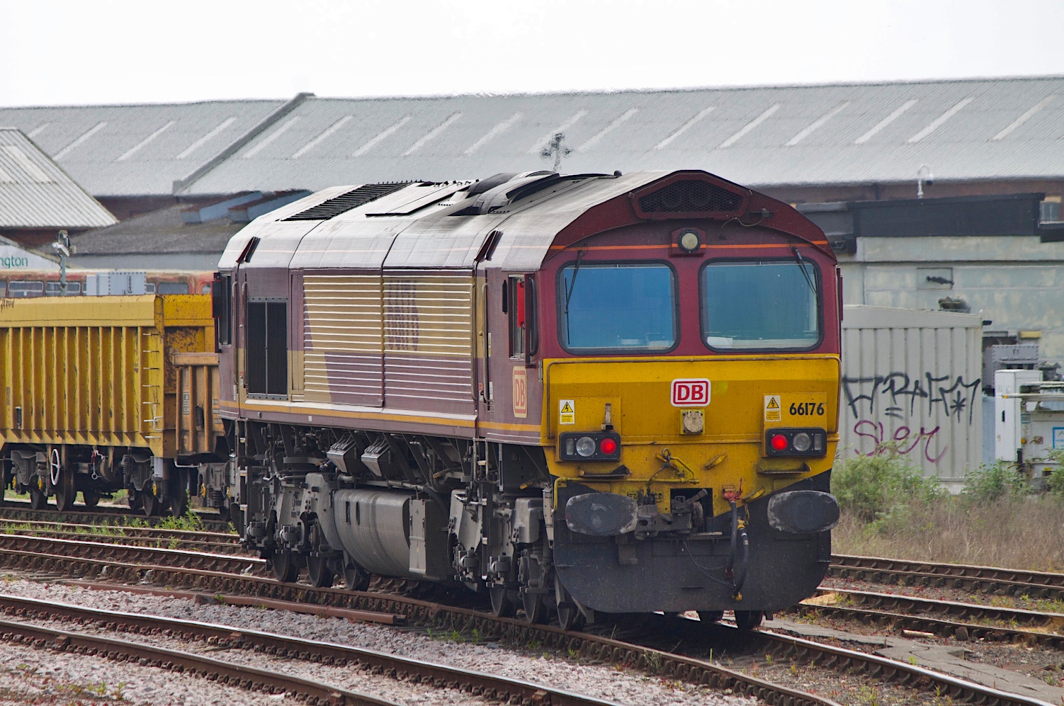 66176