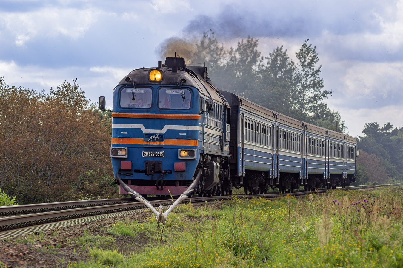 2М62У-0313
