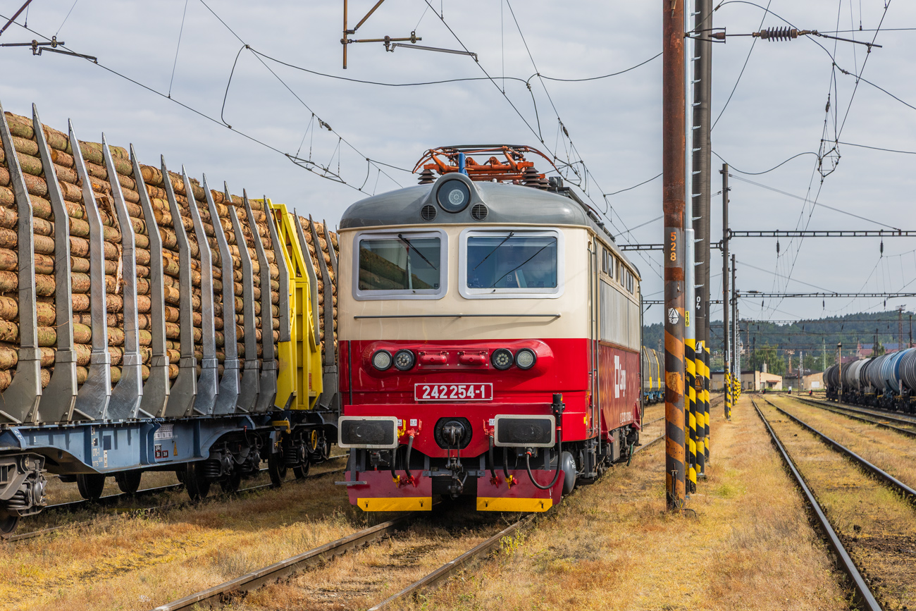 242 254-1