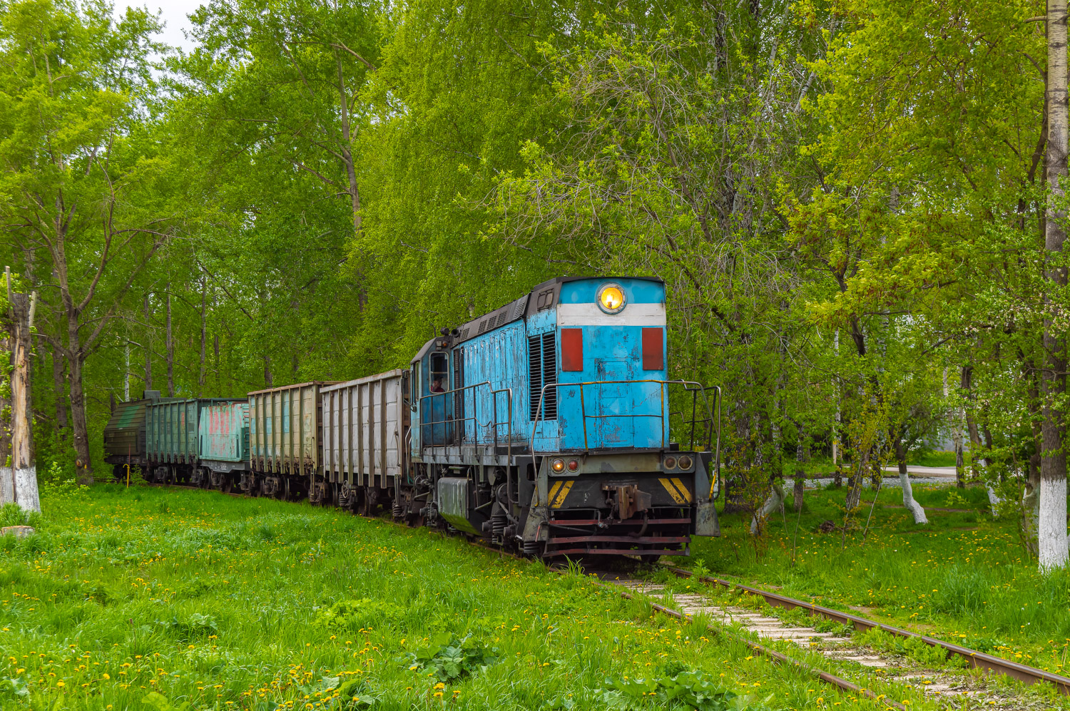 ТГМ6В-0191