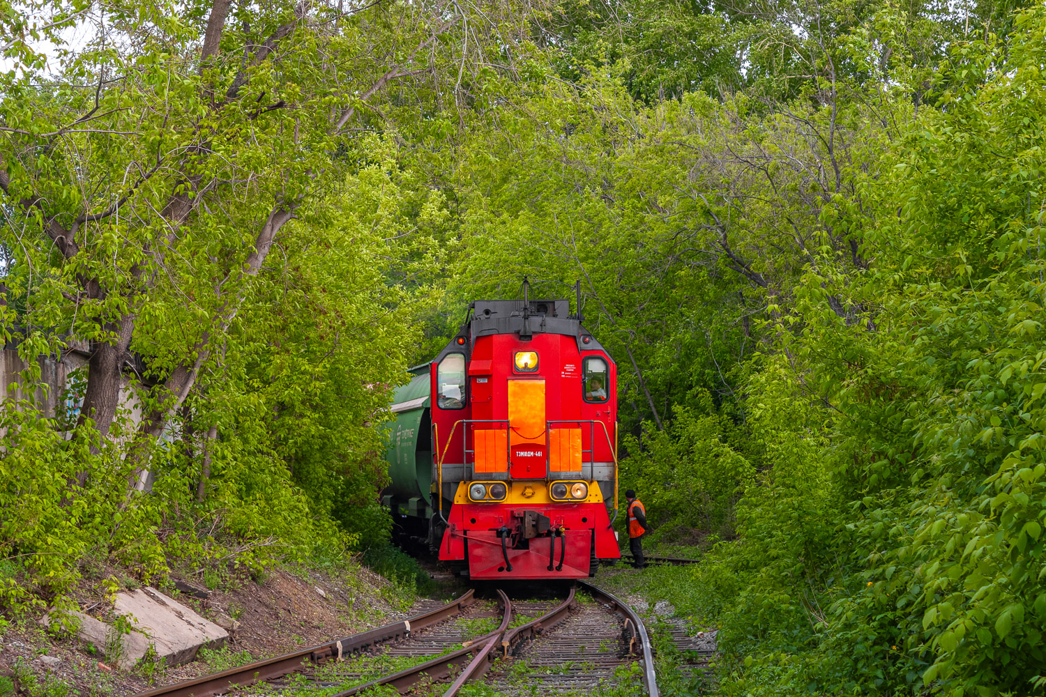 ТЭМ18ДМ-461