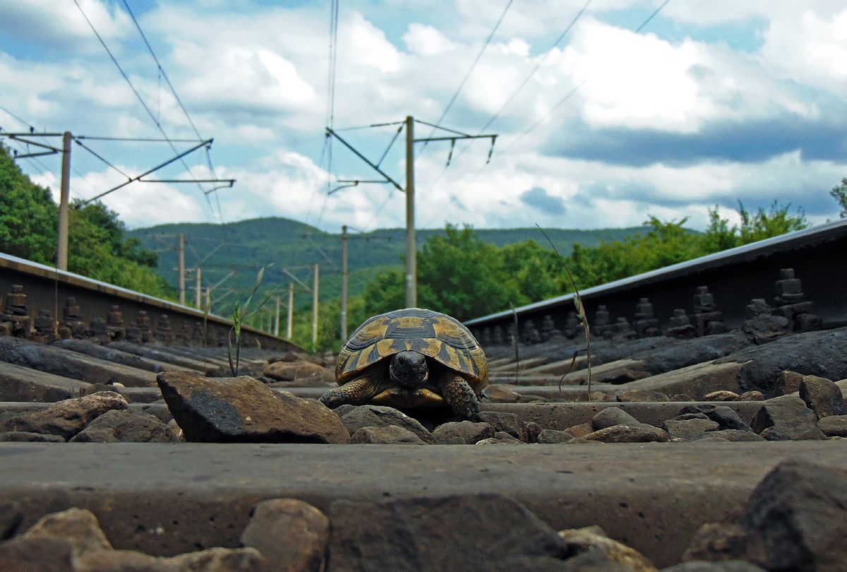 Творческие фотографии