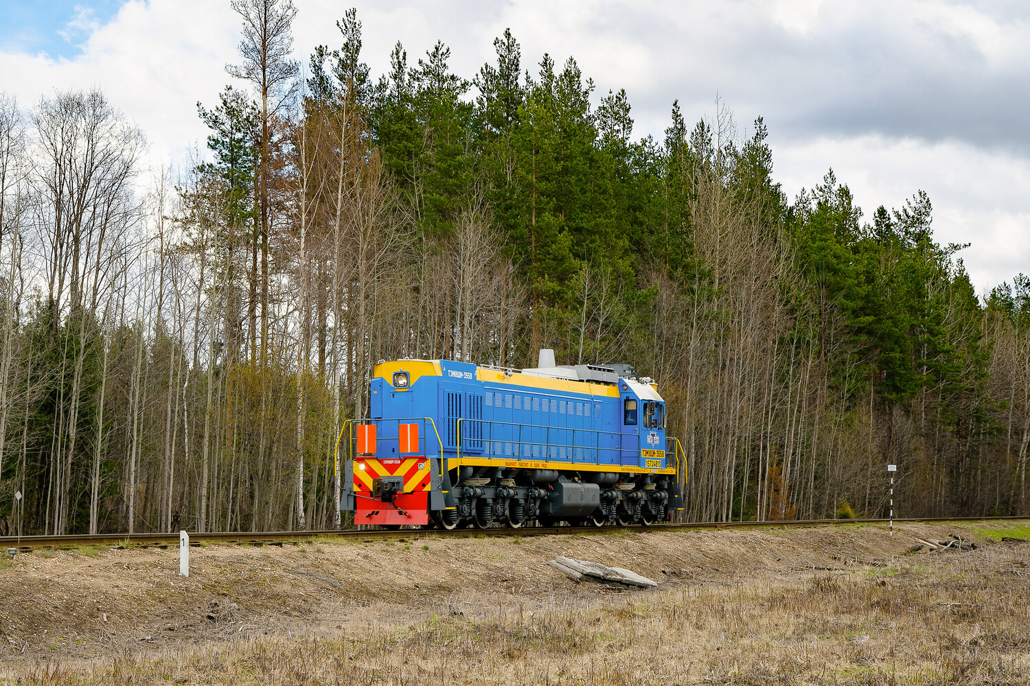 ТЭМ18ДМ-3558