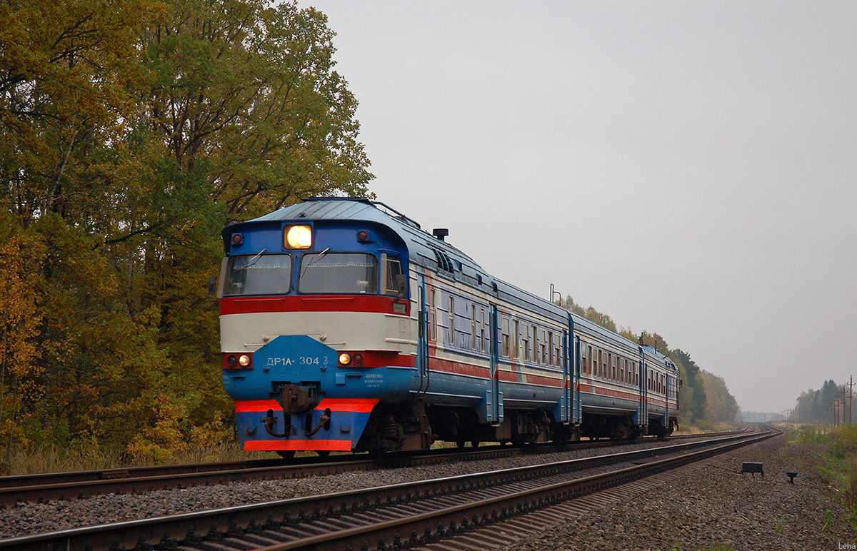 ДР1А-304