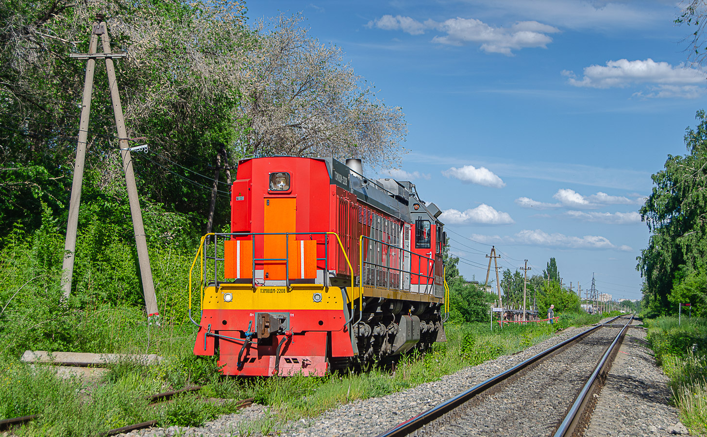 ТЭМ18ДМ-2208