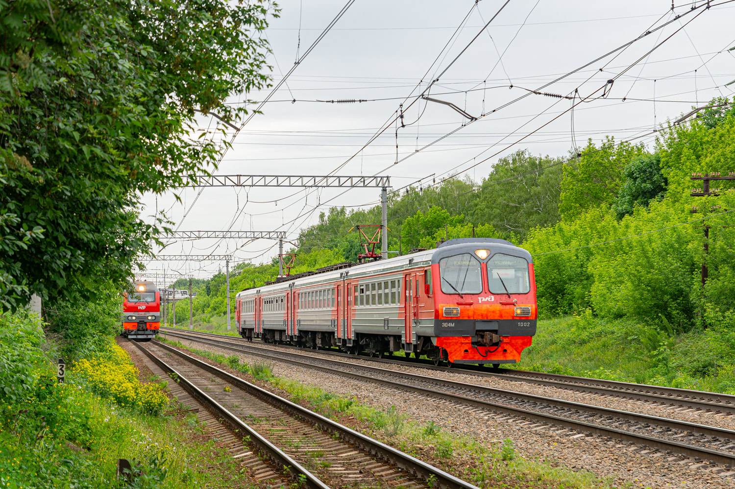 ЭД4МК-1002