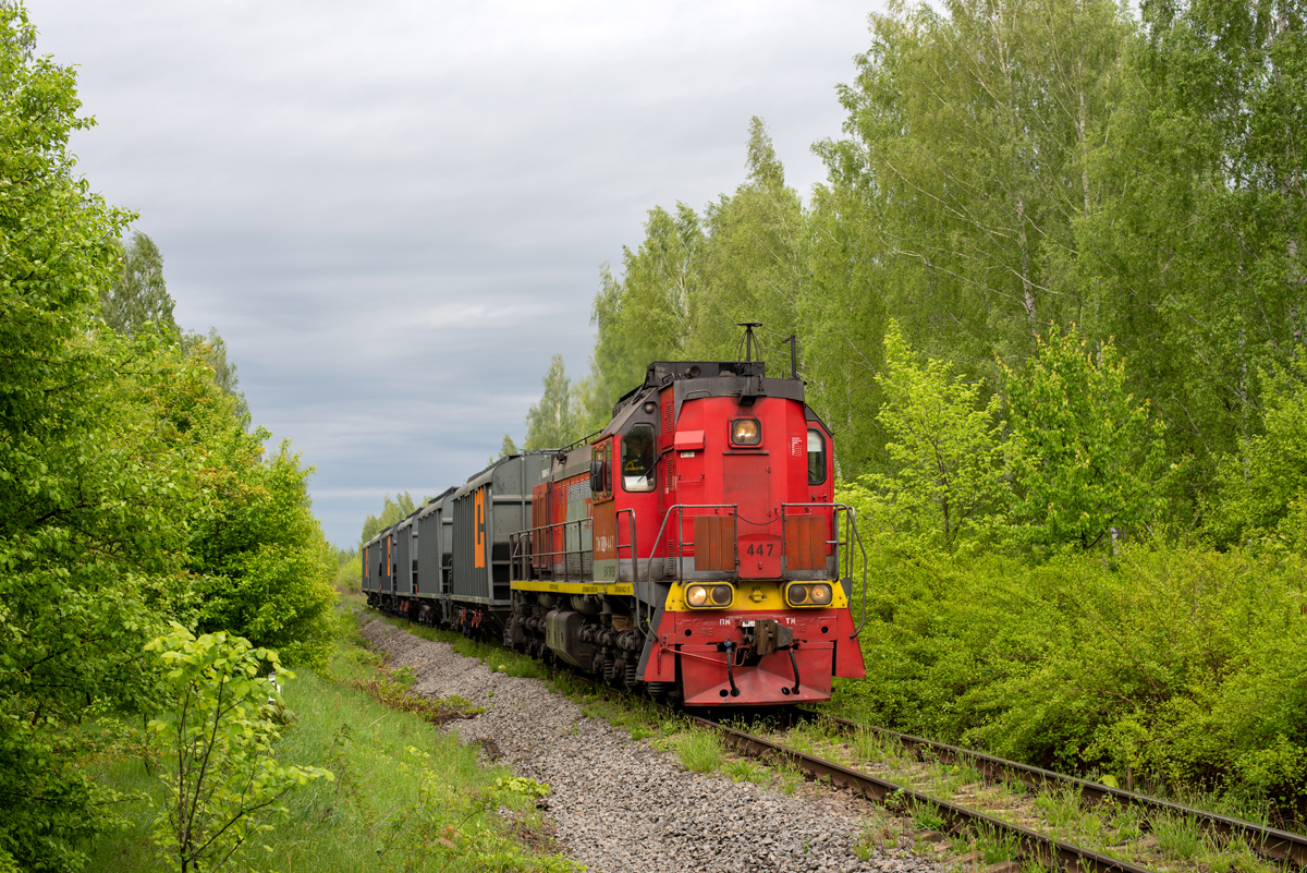 ТЭМ18ДМ-447