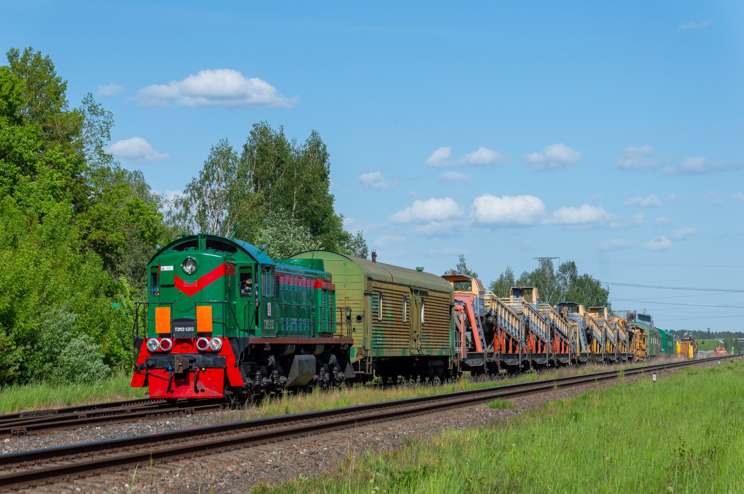 ТЭМ2-1202