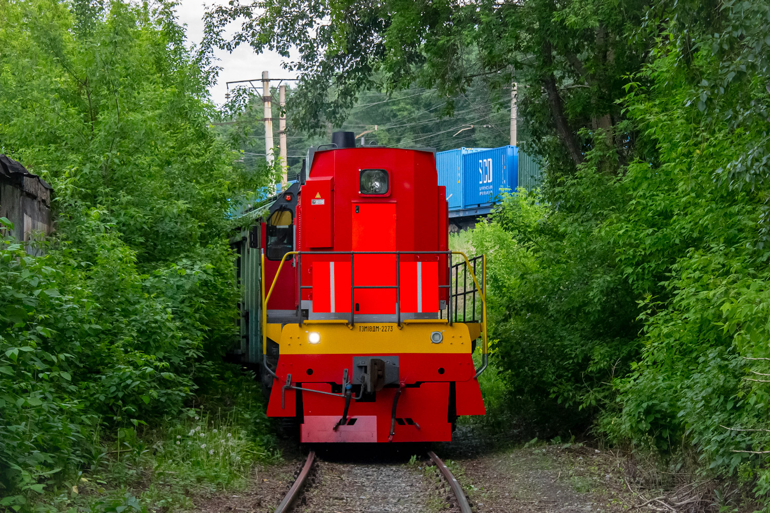 ТЭМ18ДМ-2273
