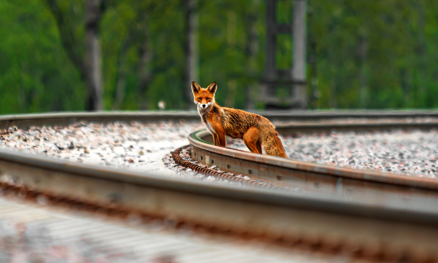 Творческие фотографии