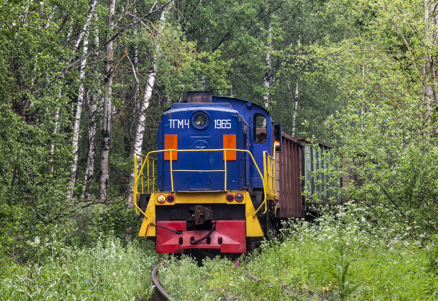 ТГМ4-1965