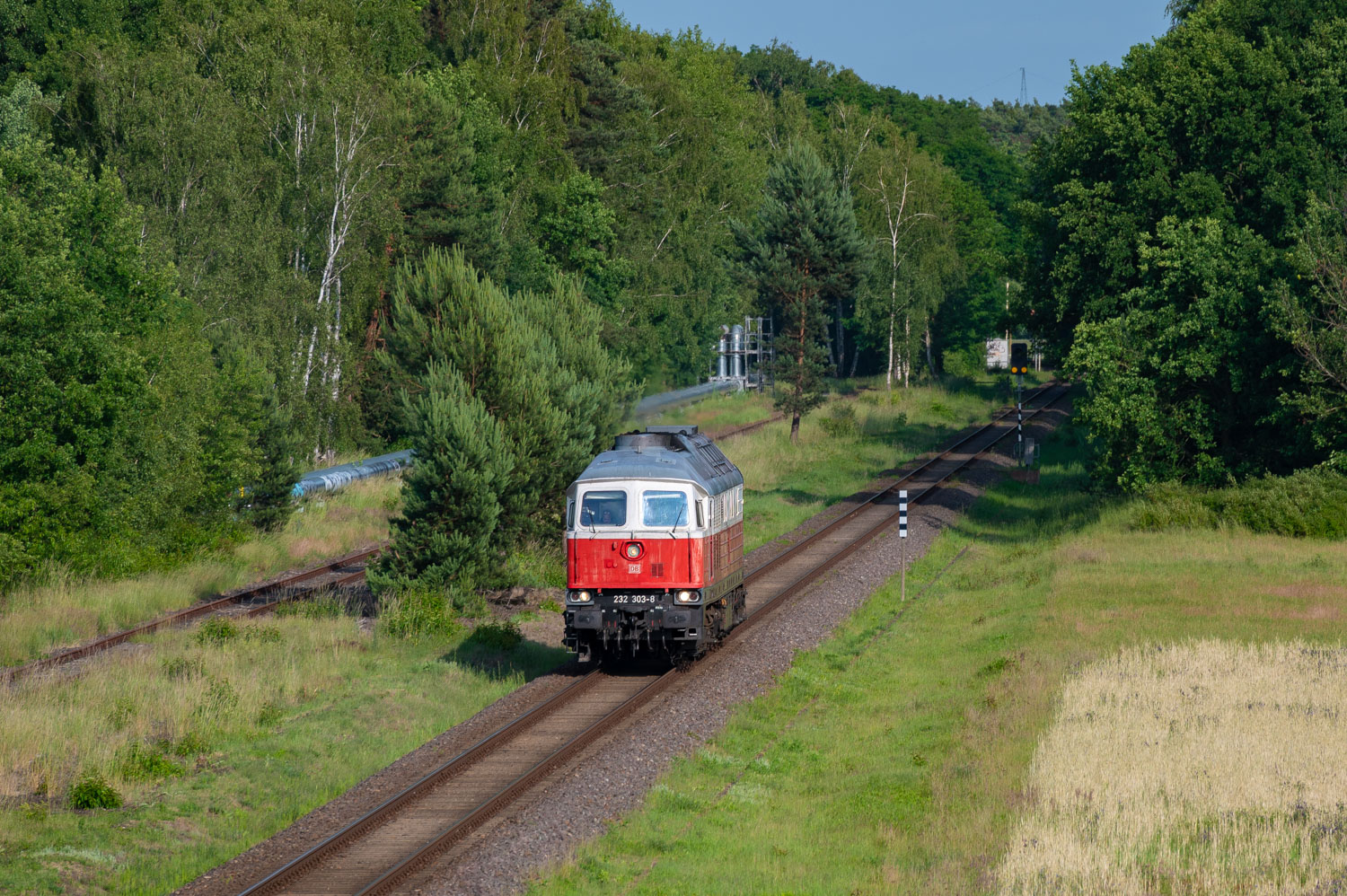 232 303-8