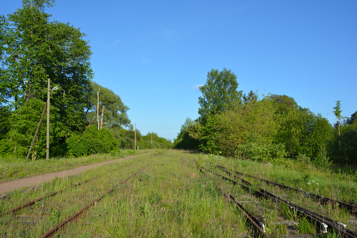 Октябрьская железная дорога — Станции и перегоны