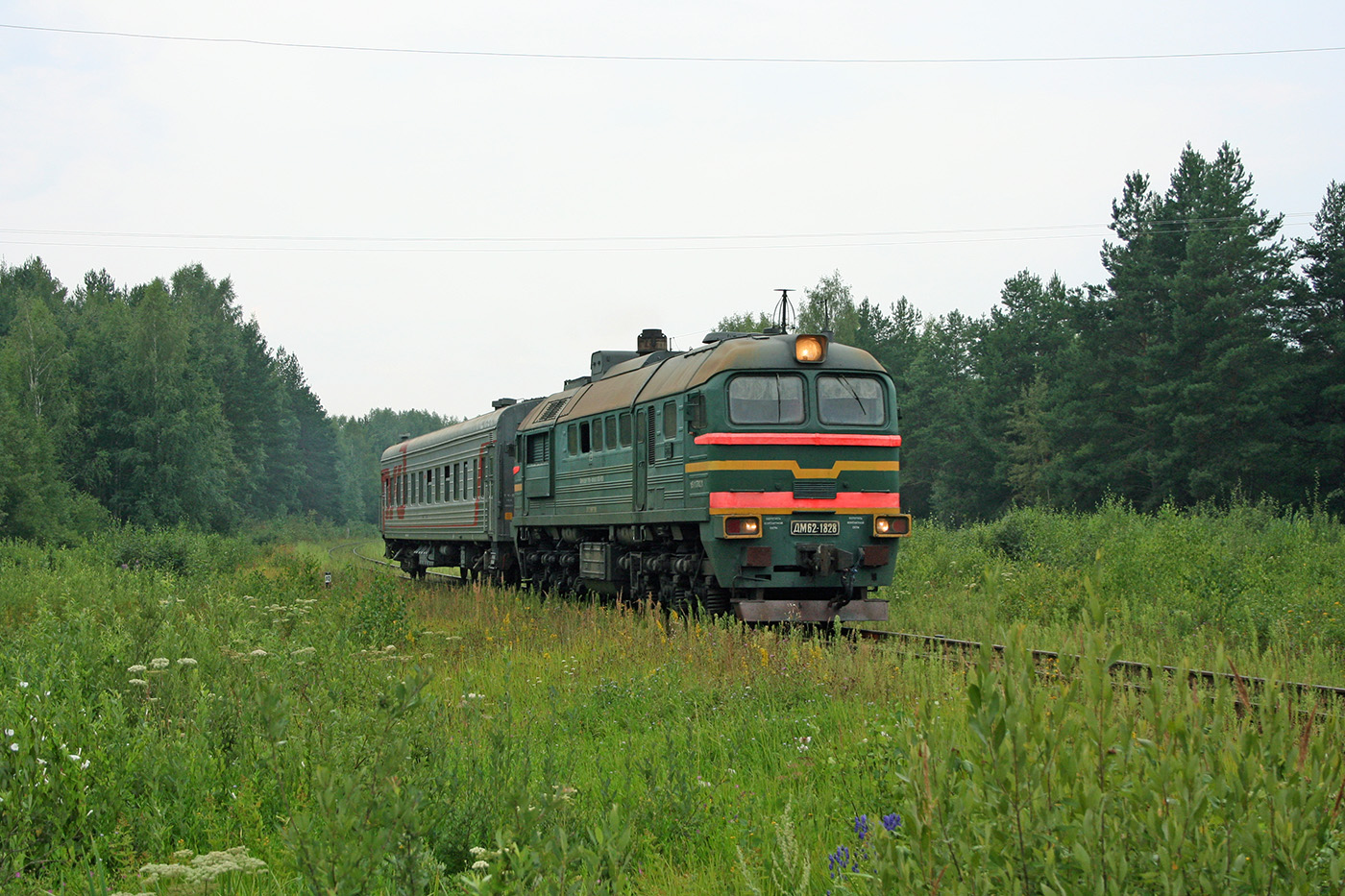 ДМ62-1828