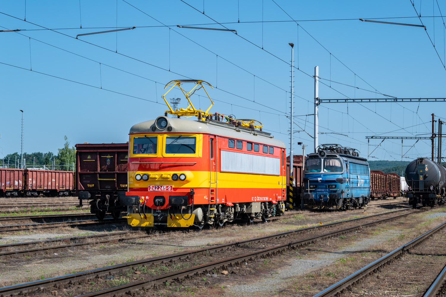 242 245-9