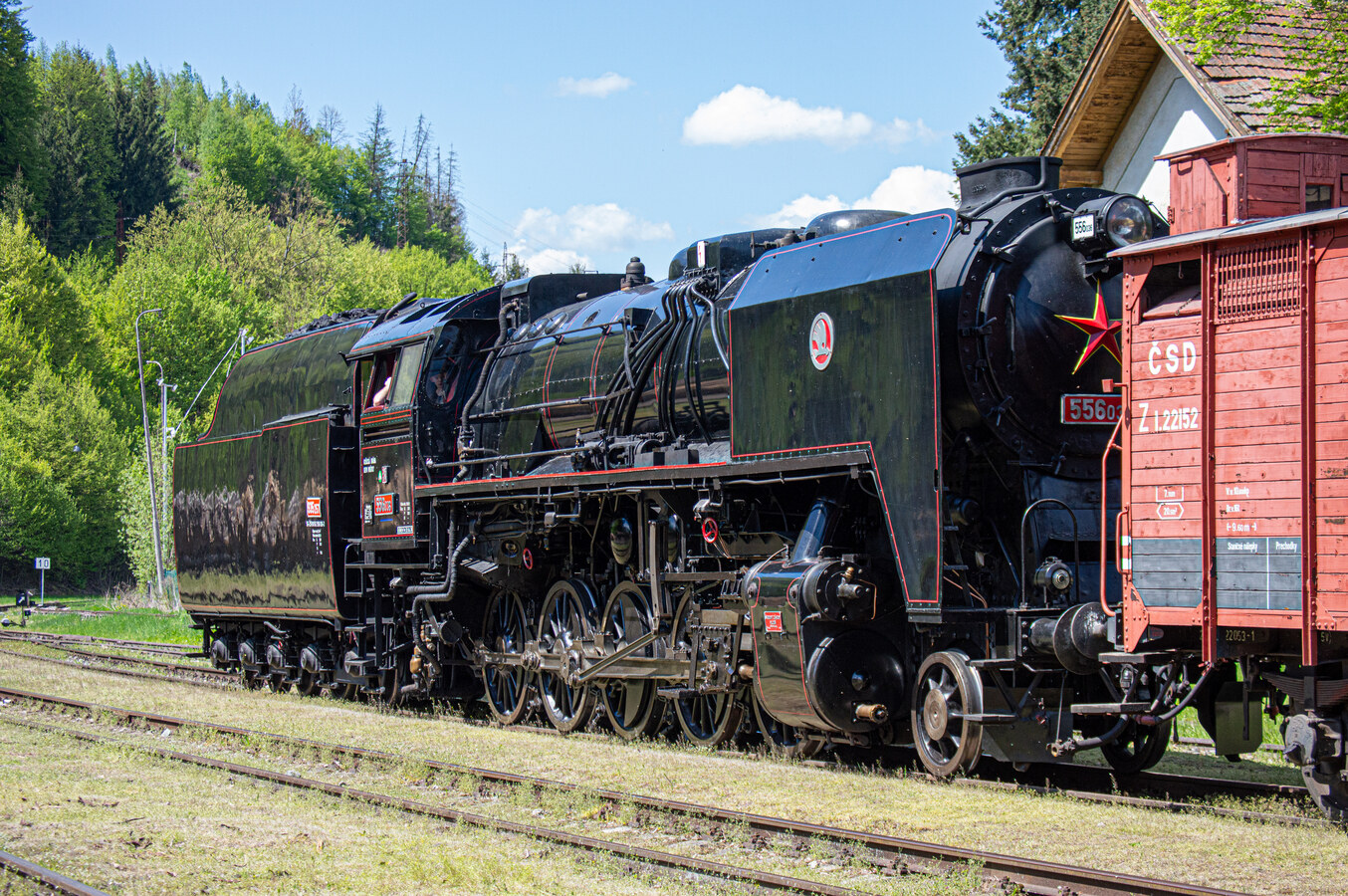556 036