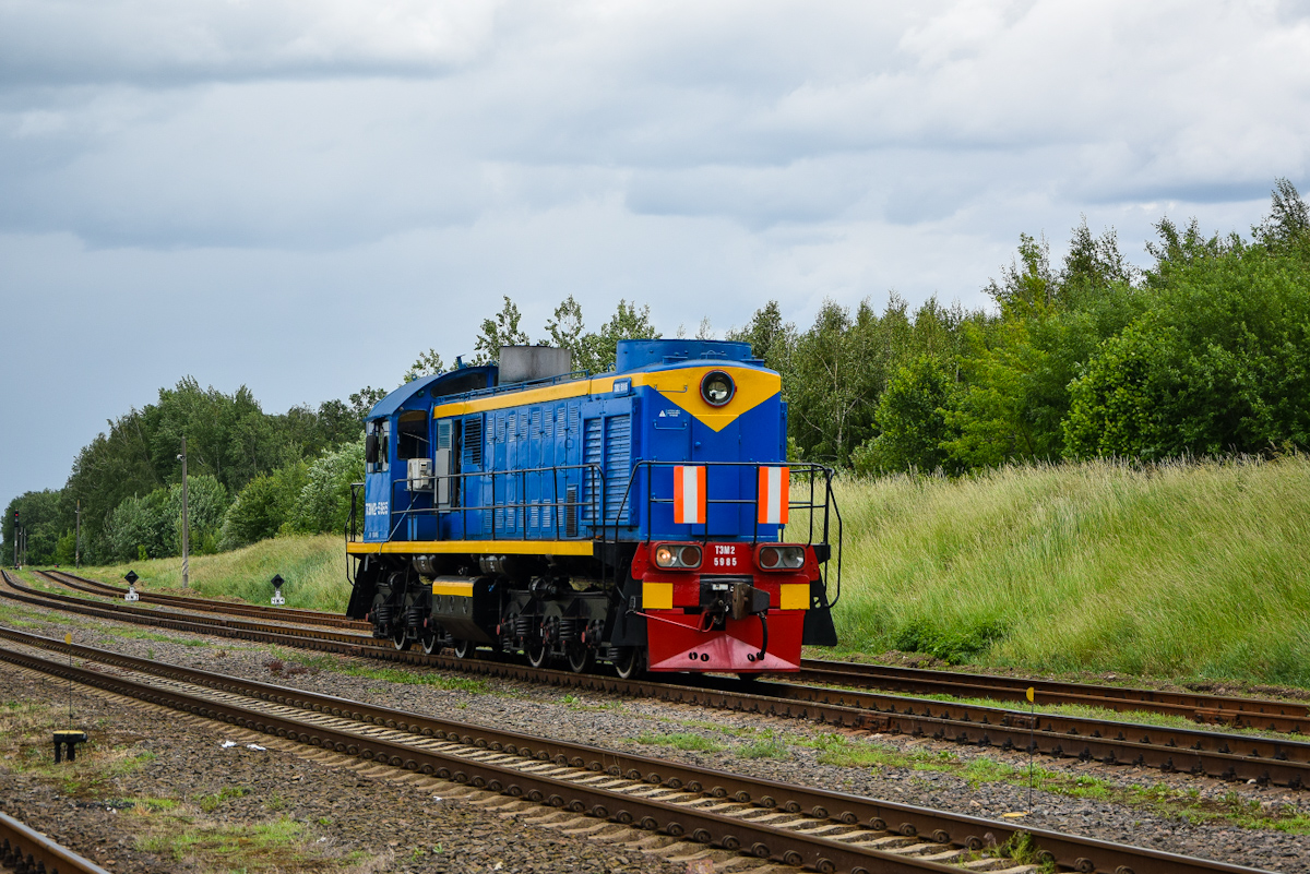 ТЭМ2-5985