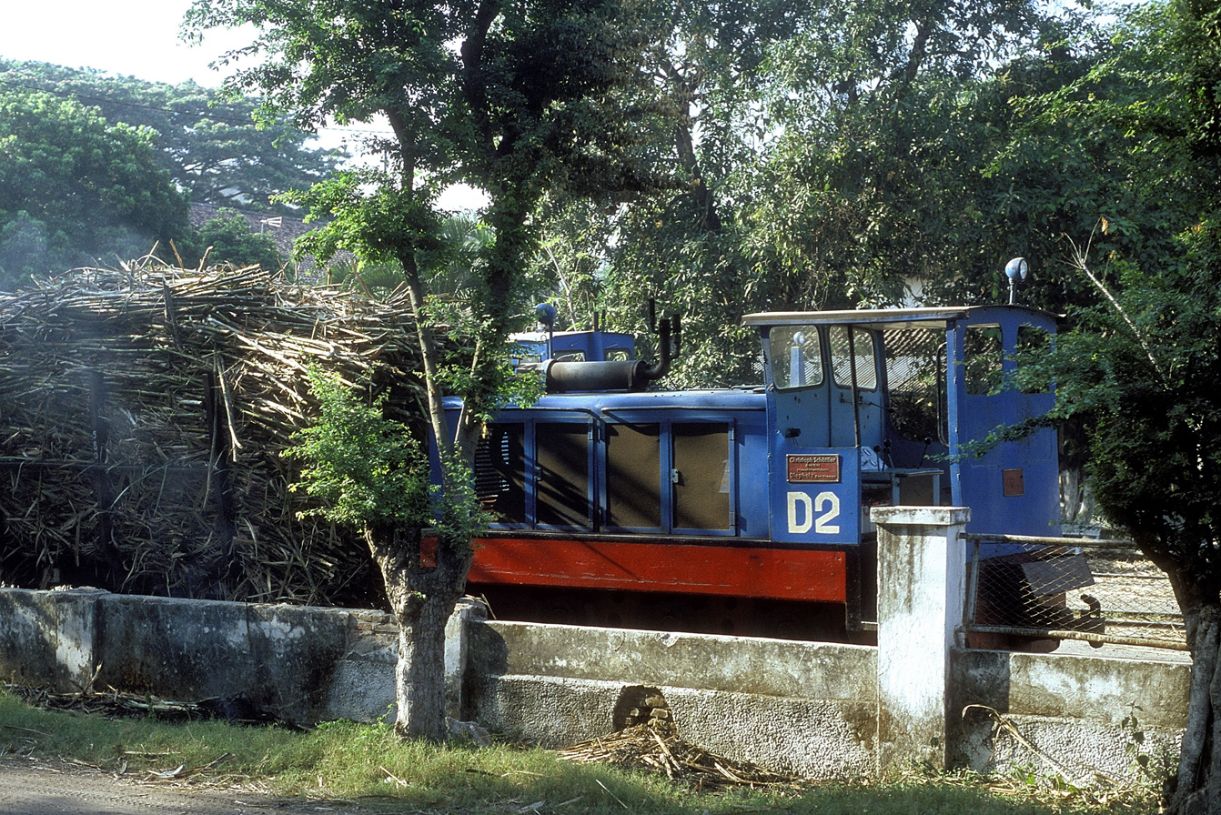 Kanigoro D2