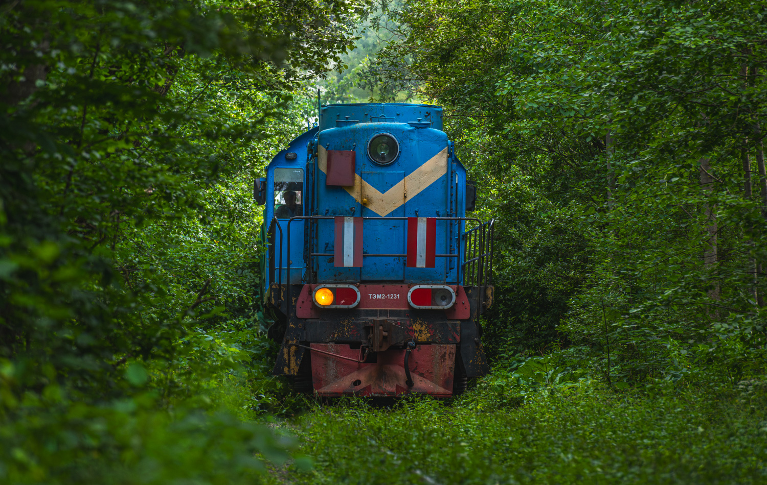 ТЭМ2-1231