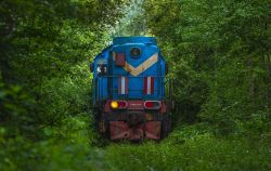 ТЭМ2-1231 (October Railway)