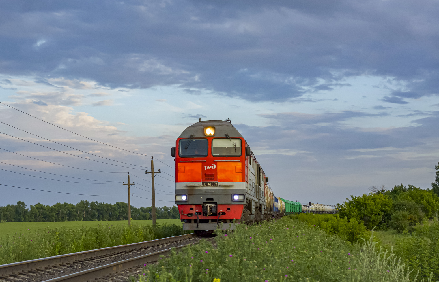2ТЭ116У-0175