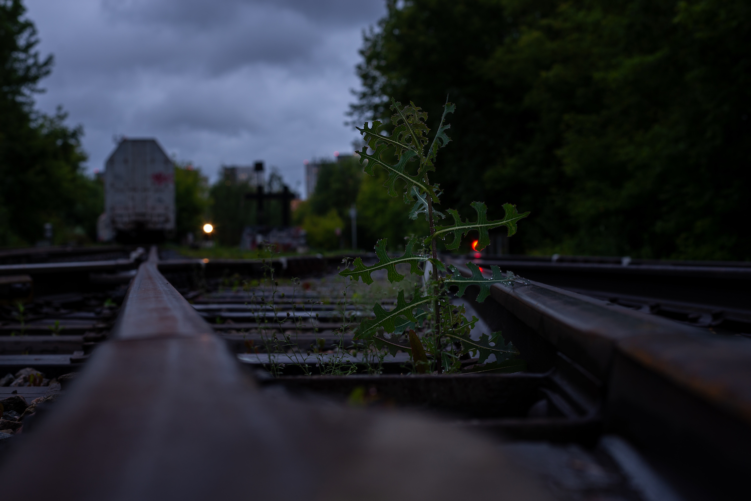 Творческие фотографии