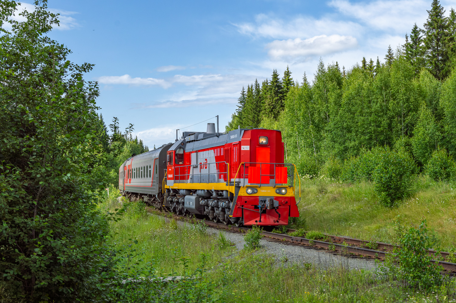ТЭМ18ДМ-1005