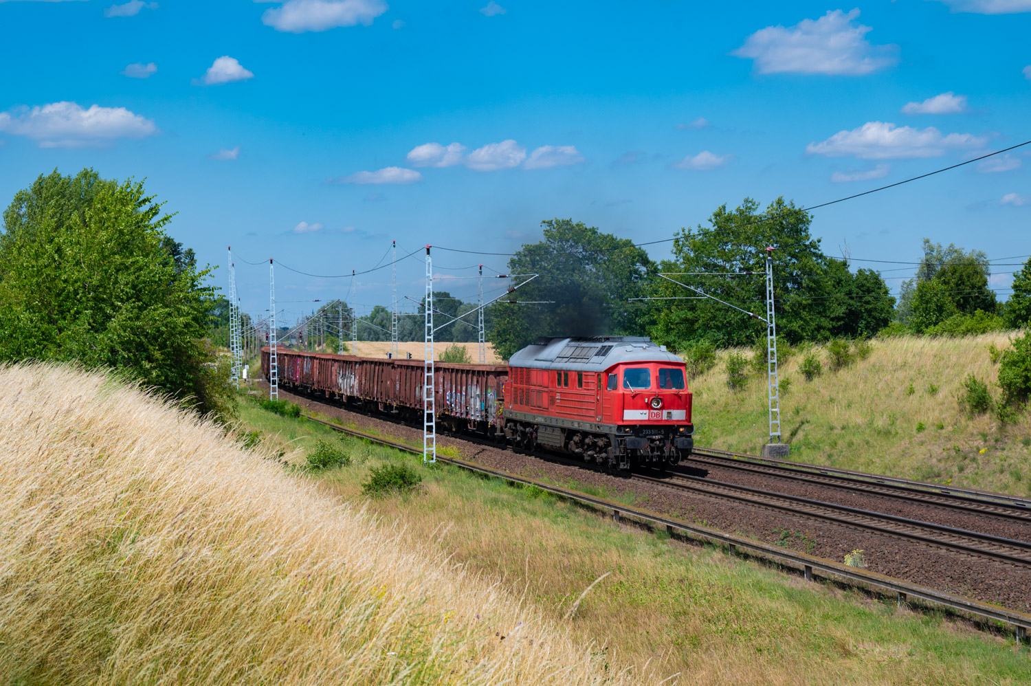233 511-5