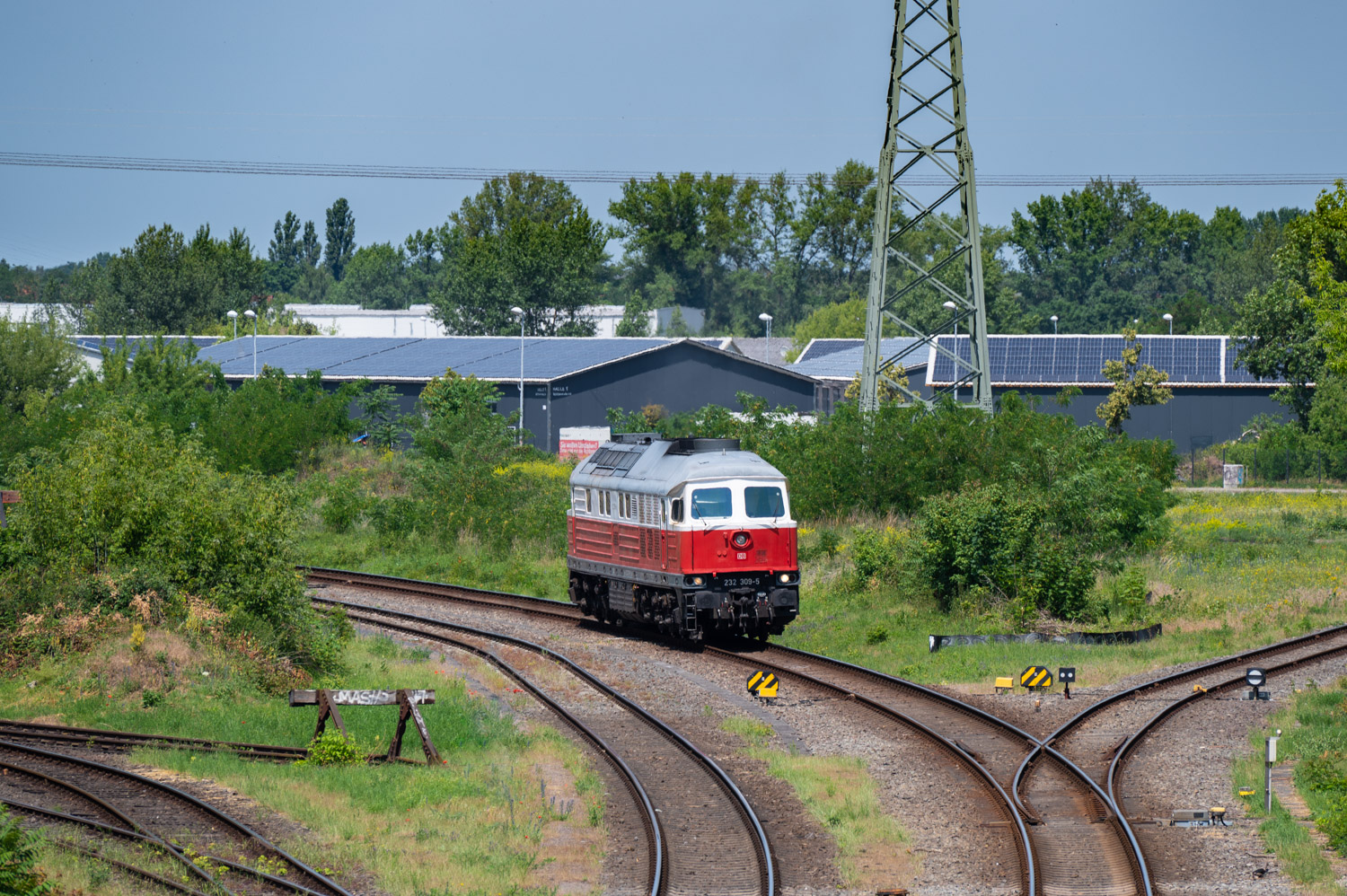 232 309-5