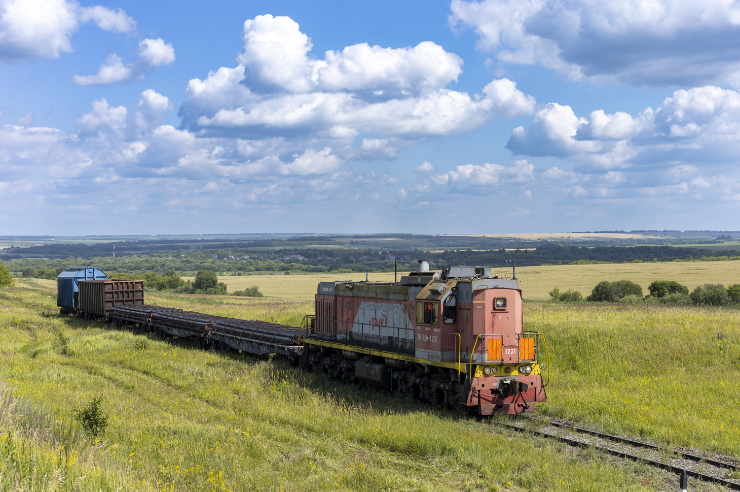 ТЭМ18ДМ-1231