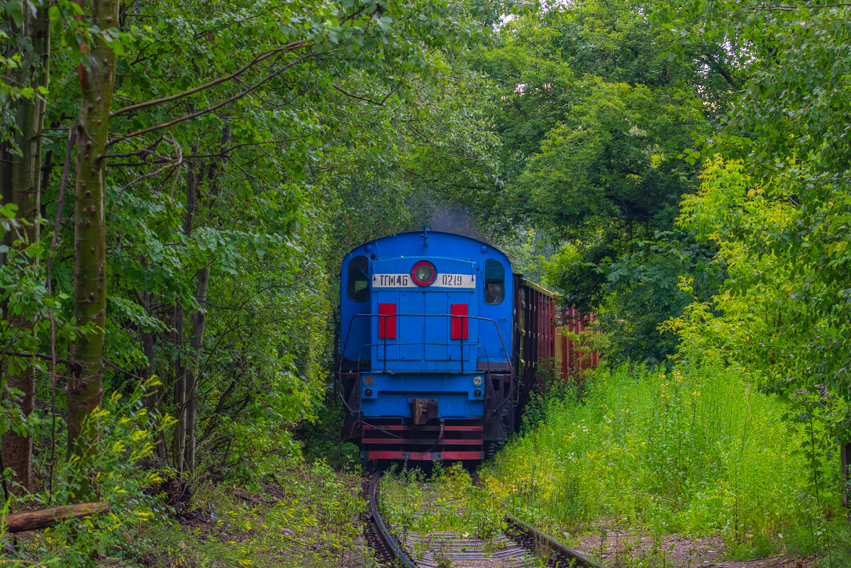 ТГМ4Б-0219