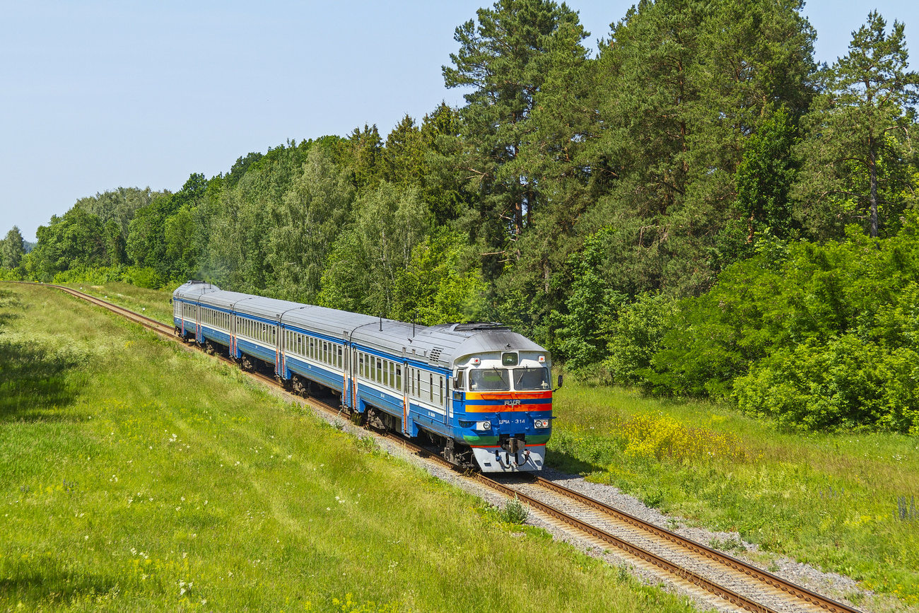 ДР1А-314