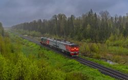 2ТЭ10МК-0848 (Северная железная дорога); ЧМЭ3Т-6556 (Горьковская железная дорога)