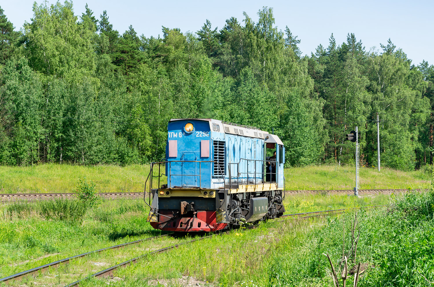 ТГМ6А-2296