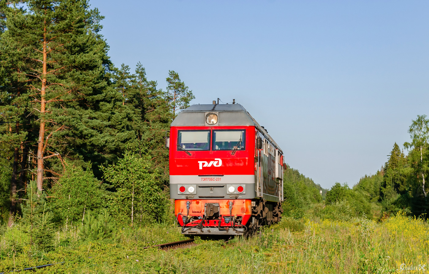 ТЭП70БС-231