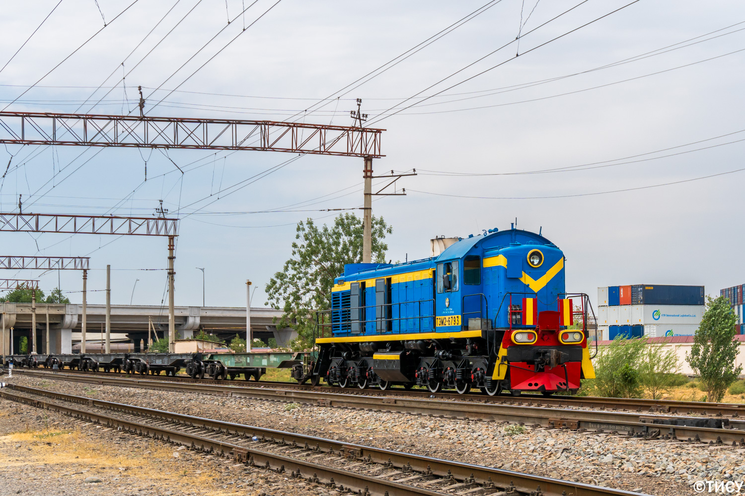 ТЭМ2-6793
