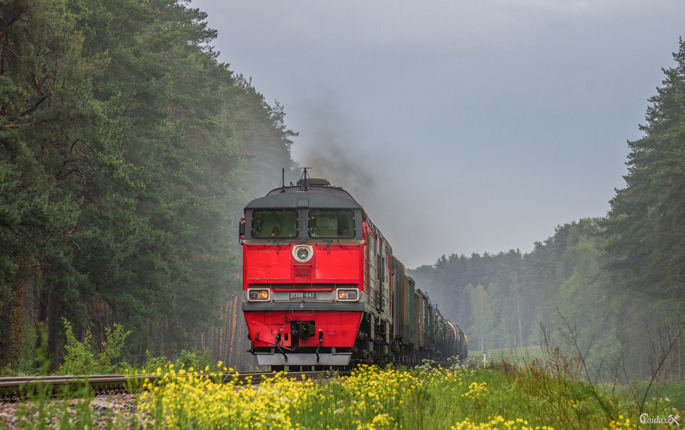 2ТЭ116-647 2ТЭ116-647