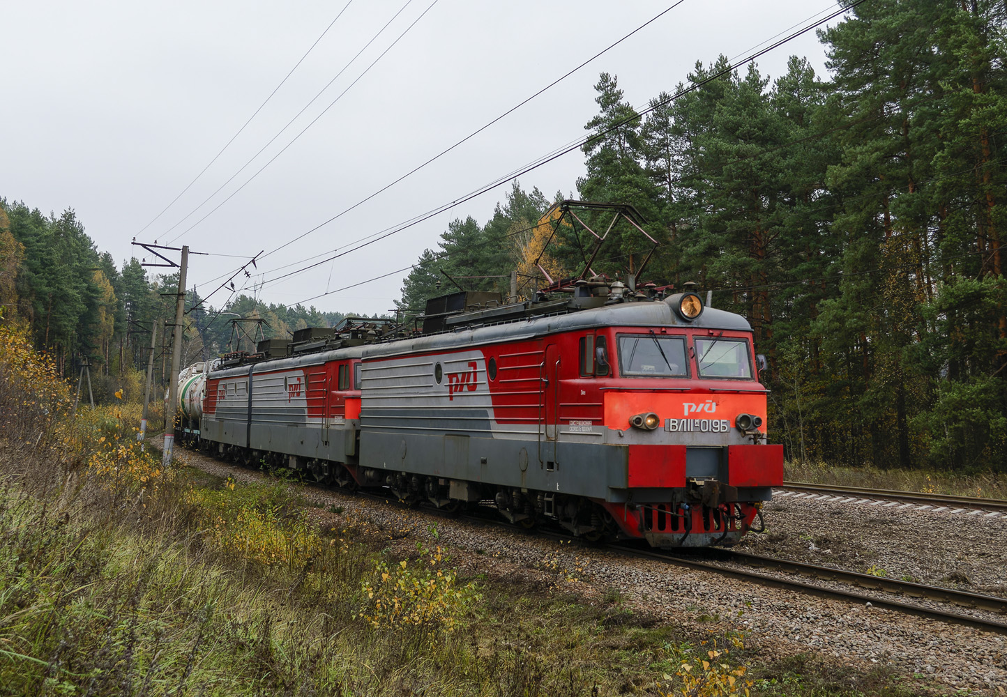 ВЛ11М-019