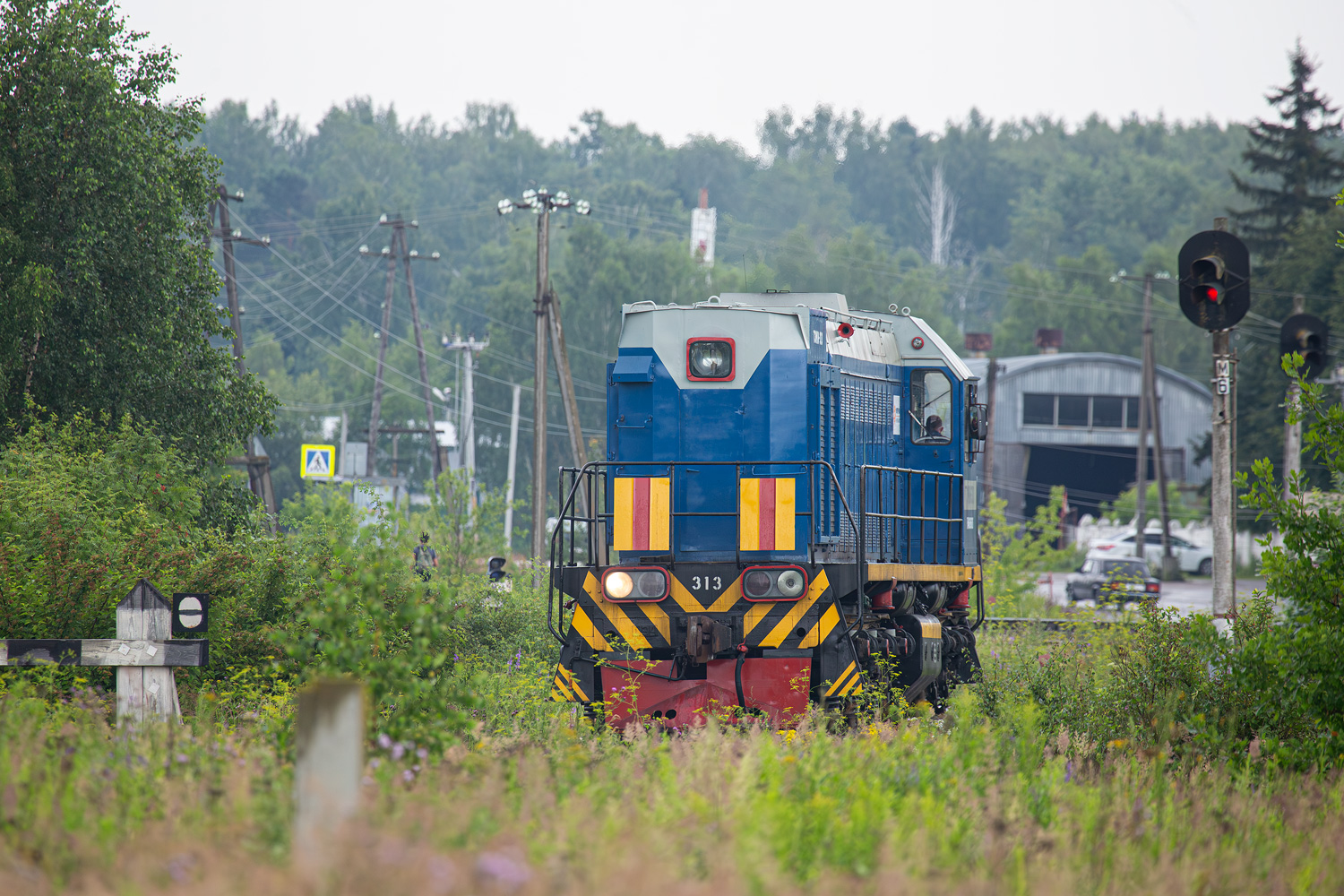 ТЭМ18-313